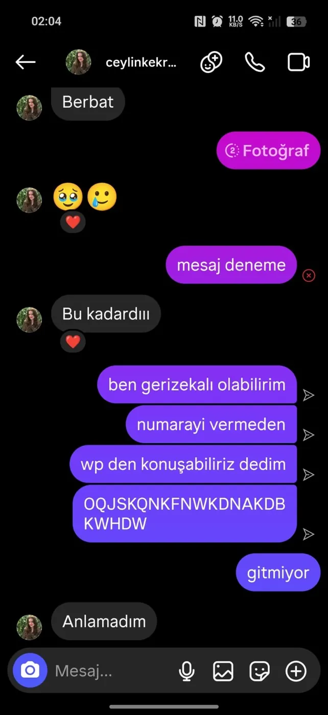 İlk mesajlardan bir ekran görüntüsü